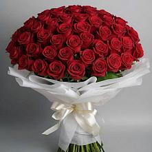 Букет 101 Красная роза Блэк Мэджик в Чике