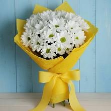 Букет цветов из:  Хризантемы в Чике