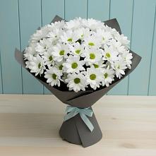 Букет цветов из:  Хризантемы в Чике