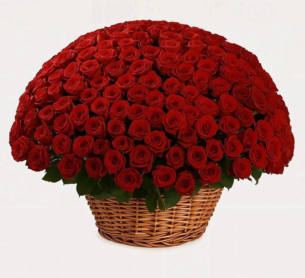 Премиум букет из: Розы в Чике