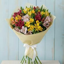 Букет цветов из:  Альстромерии в Чике