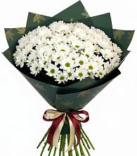 Букет цветов из:  Хризантемы в Чике