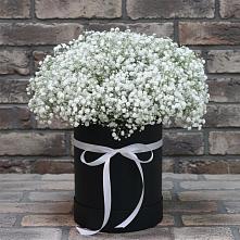 Цветочная композиция из Гипсофила в шляпной коробке в Чике